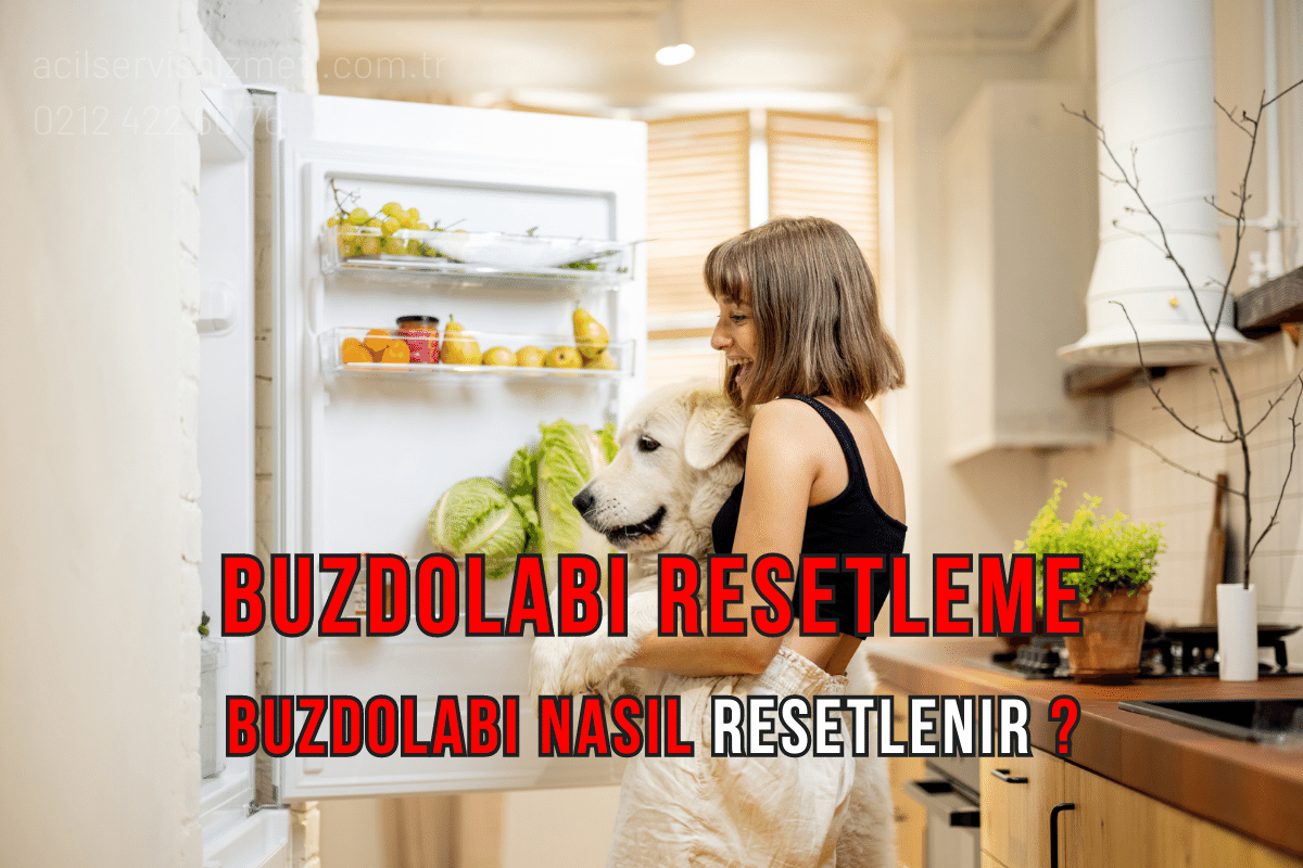 Buzdolabı Resetleme Buzdolabı Resetleme